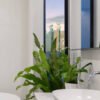 Birdnest Japanese – Image 2